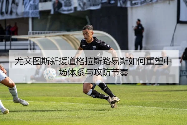 尤文图斯新援道格拉斯路易斯如何重塑中场体系与攻防节奏