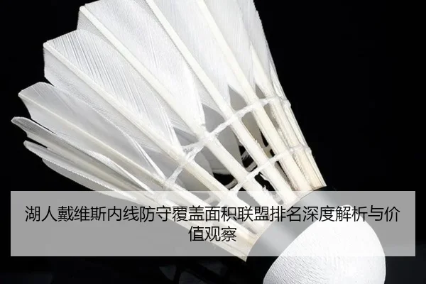 湖人戴维斯内线防守覆盖面积联盟排名深度解析与价值观察