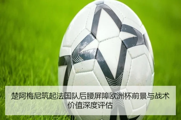 楚阿梅尼筑起法国队后腰屏障欧洲杯前景与战术价值深度评估